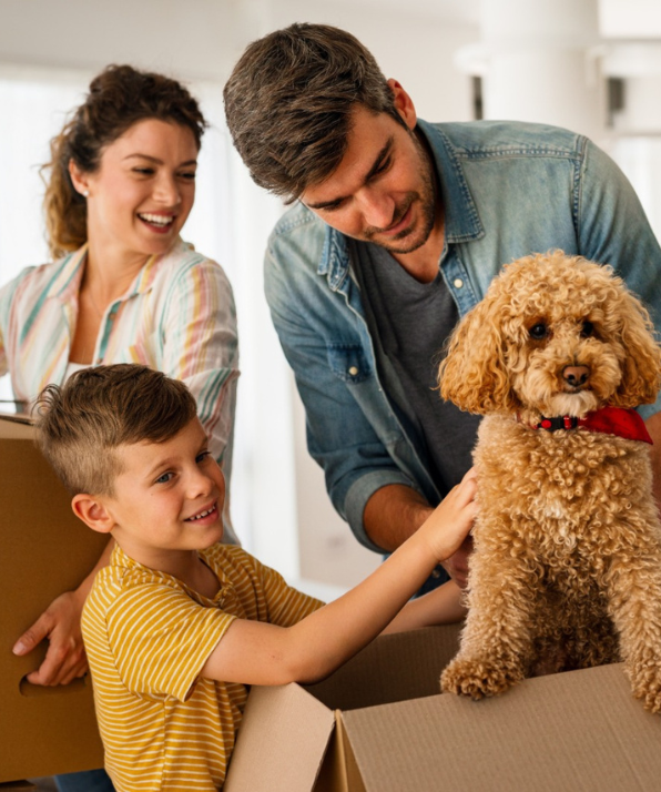 Conveyancing Clients Service